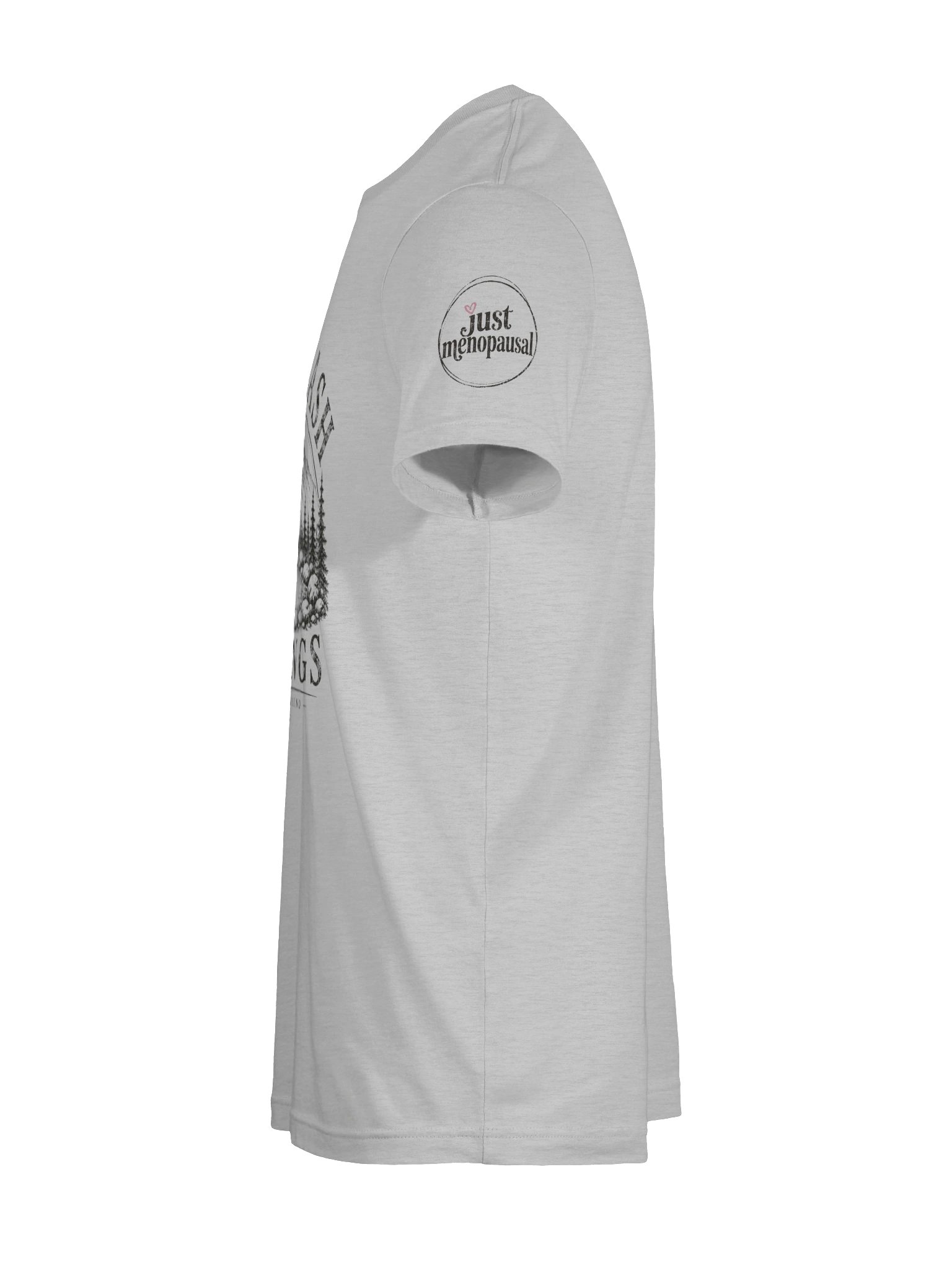 Hot Flash Springs Tee product image (60)