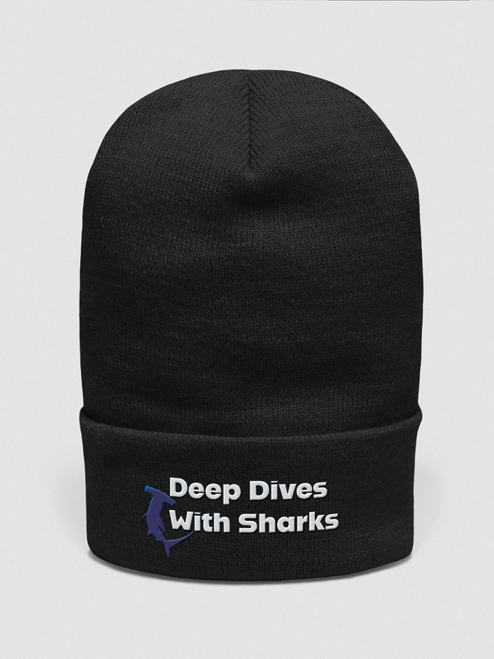 DDWS cuffed beanie product image (1)