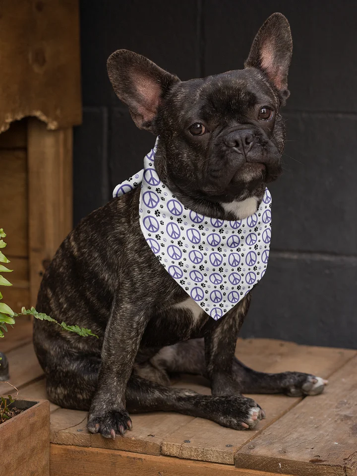 MasterPeace Bandana product image (1)