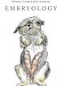 Embryology Vet Notes (PDF Download)