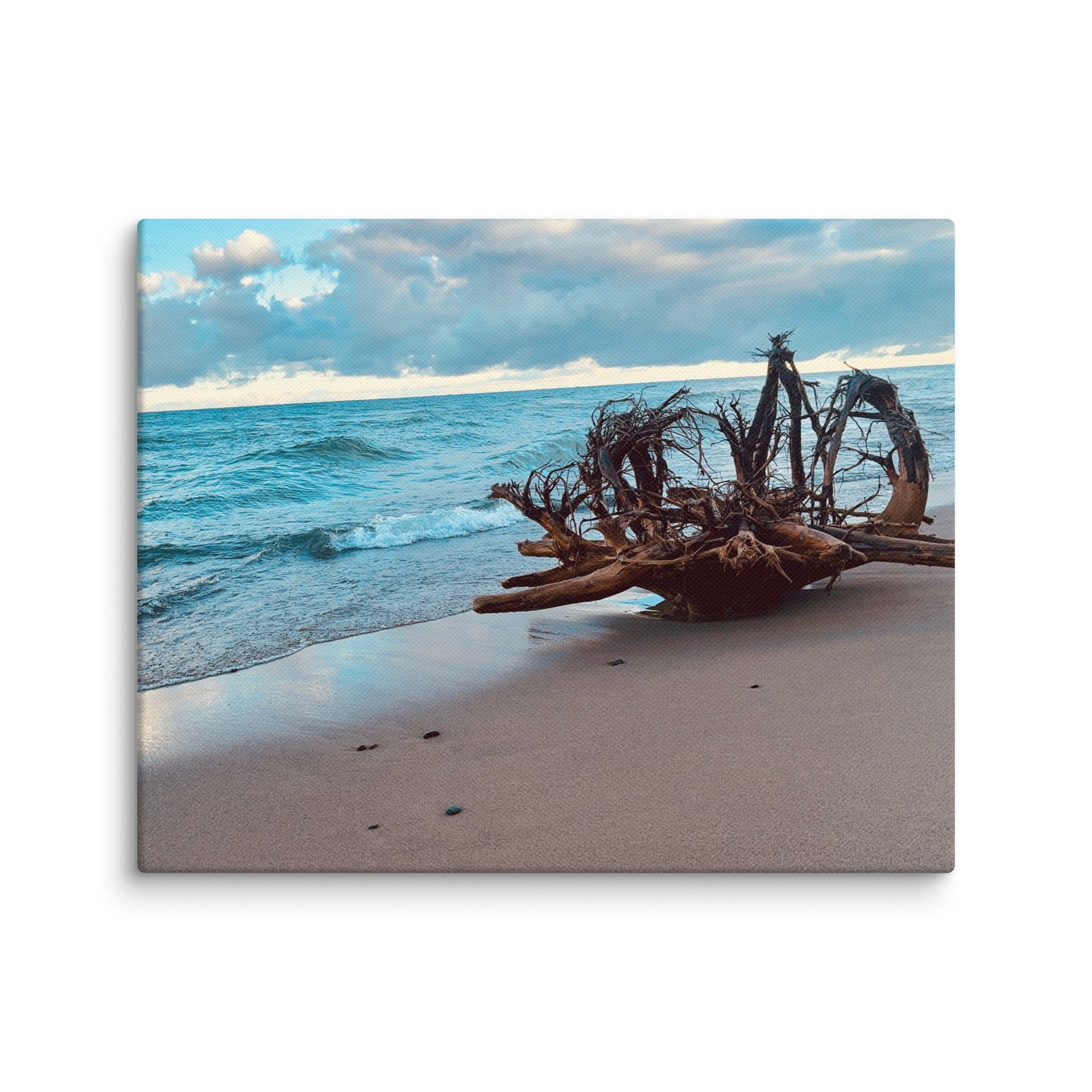 Tranquil Shoreline Canvas product image (7)