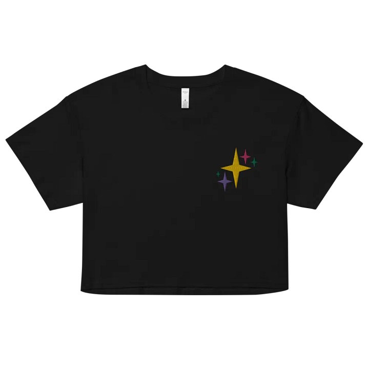 stardust embroidered crop tee product image (1)