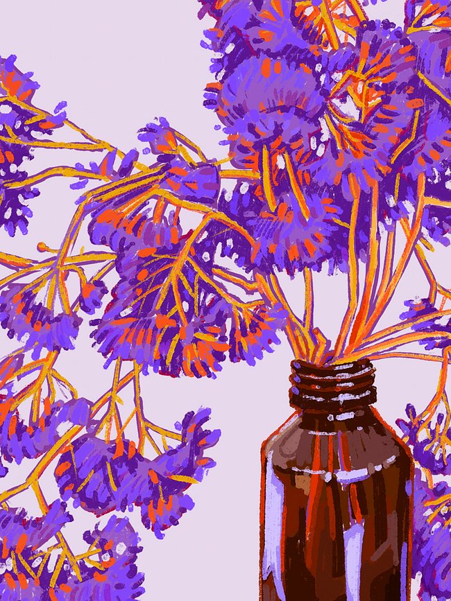 Digital Art Prints