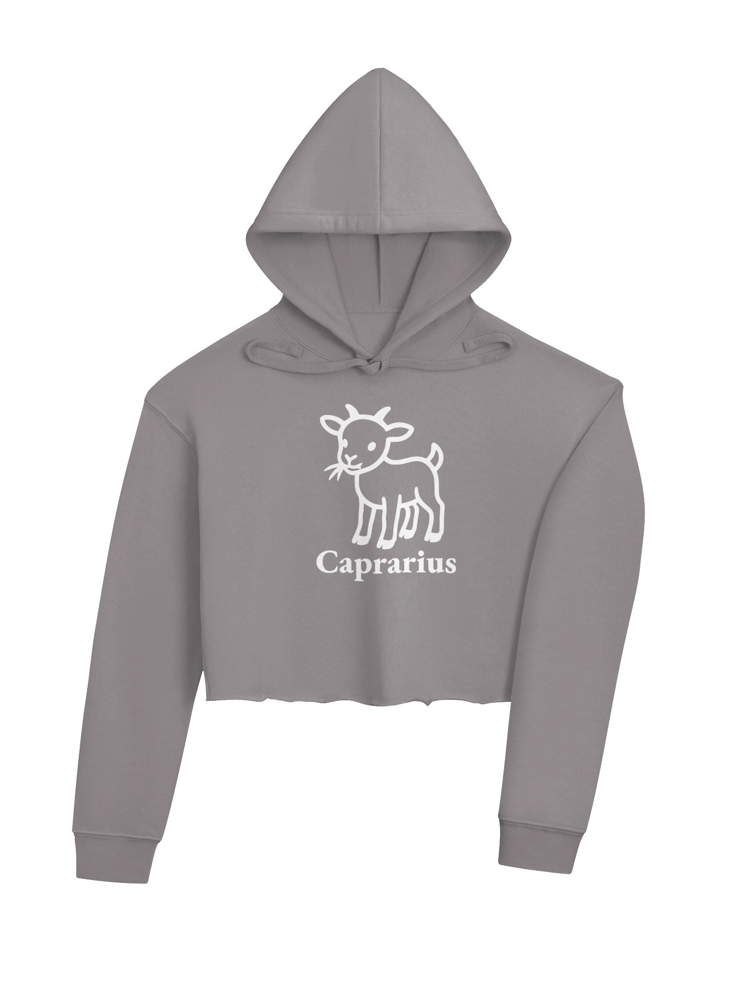 Benny Crop Hoodie product image (11)