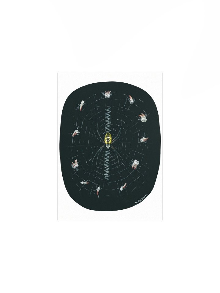 Spinner of Fates (Yellow Garden Spider) product image (3)