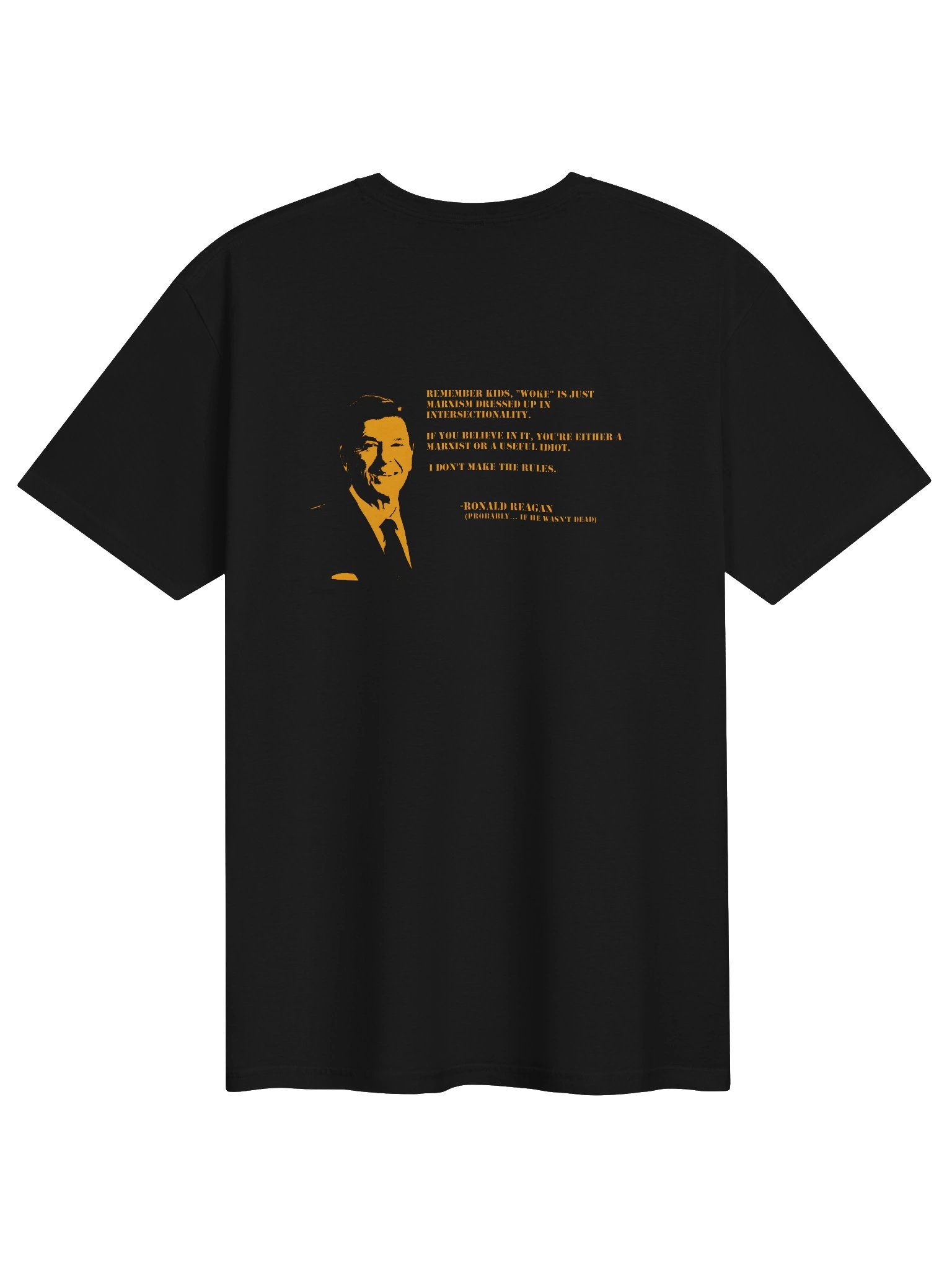 Reagan Explains it product image (2)