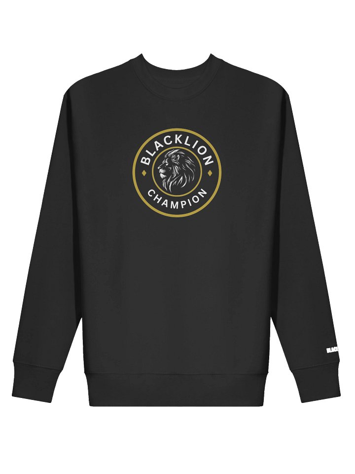 BLACK LION CHAMPION SWEATSHIRT product image (7)