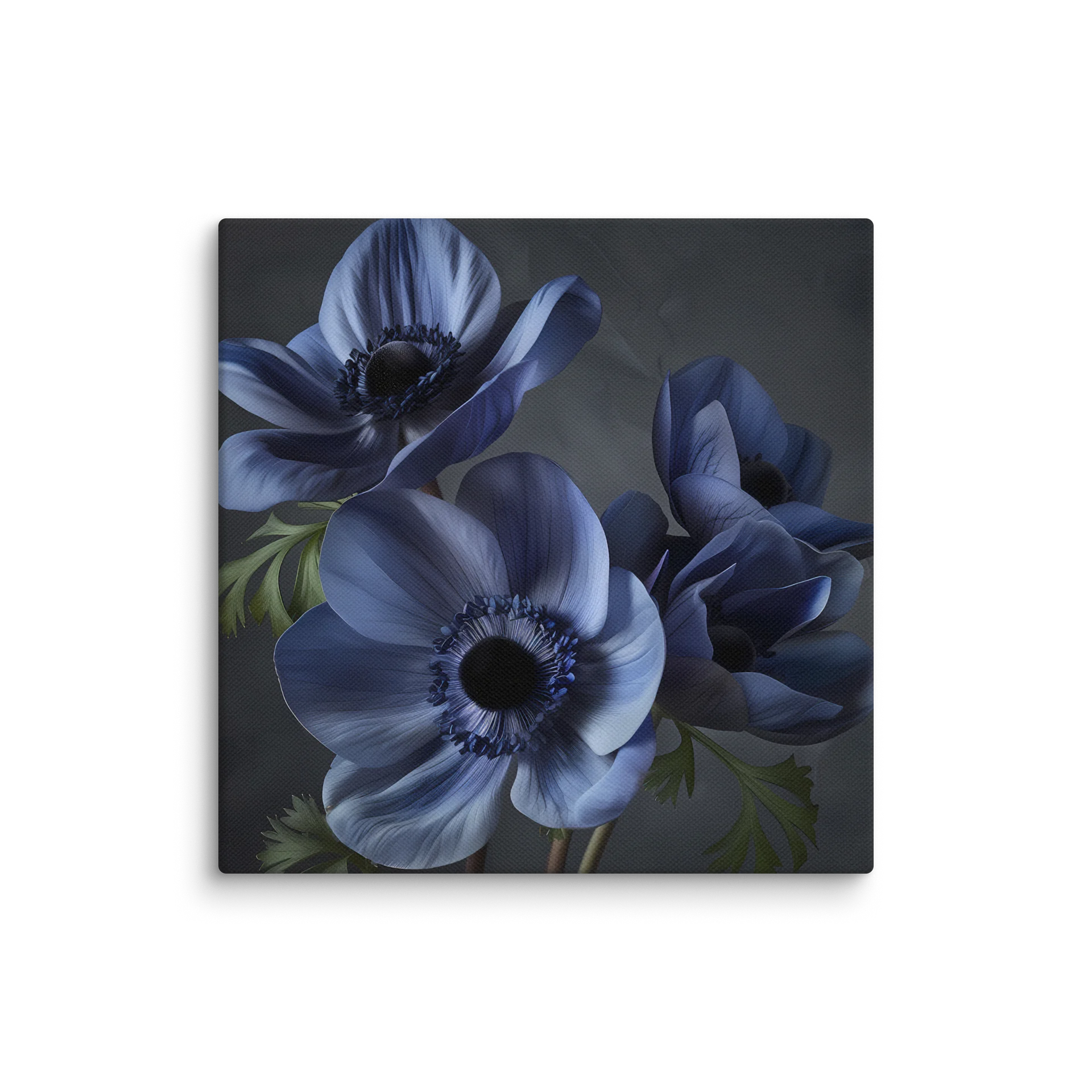 Convergence | Nocturne Anemone II - Canvas product image (1)