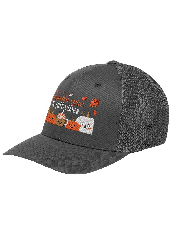 Pumpkin Spice & Fall Vibes product image (2)