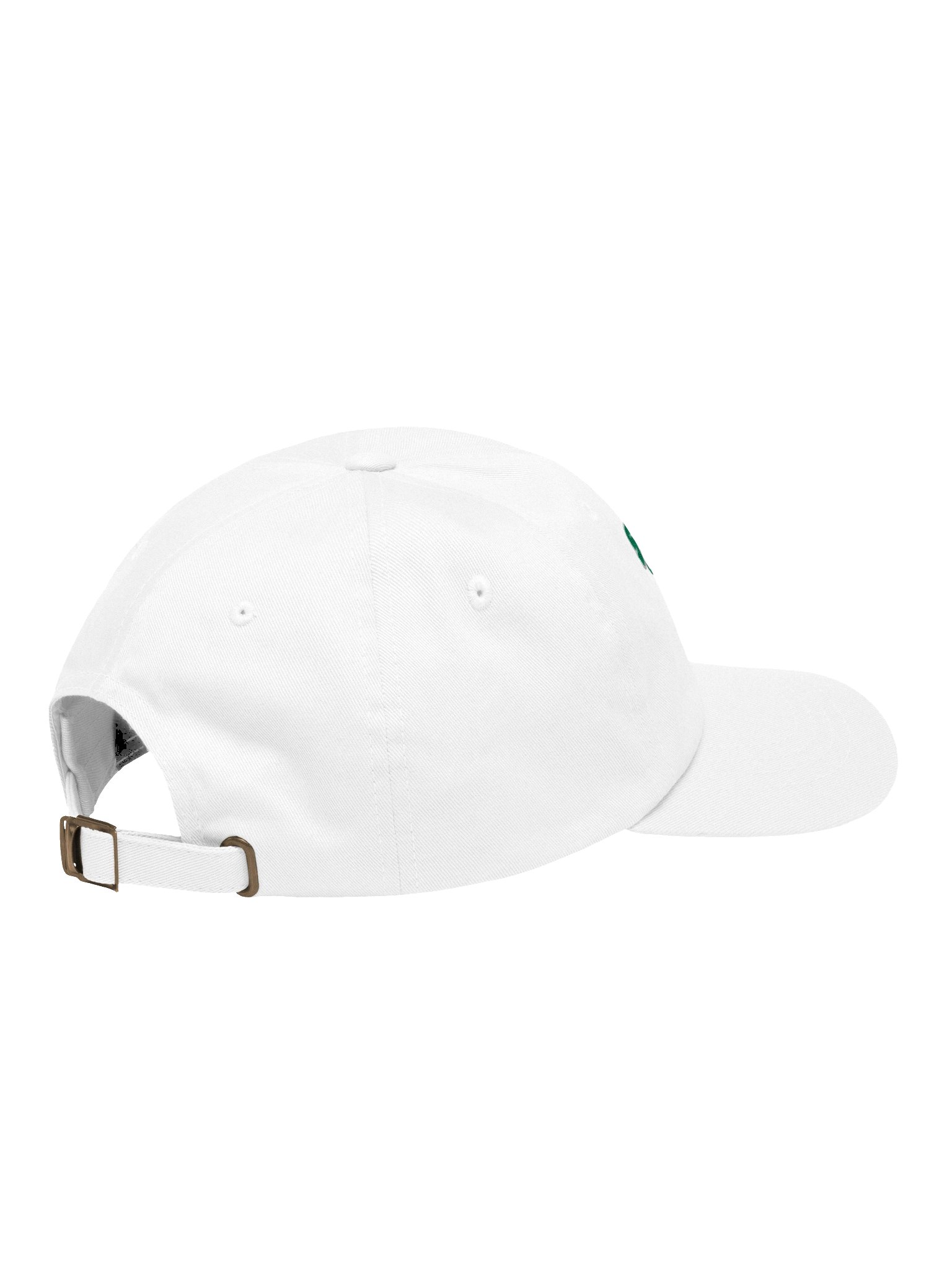 sunk cost fallacy hat product image (4)