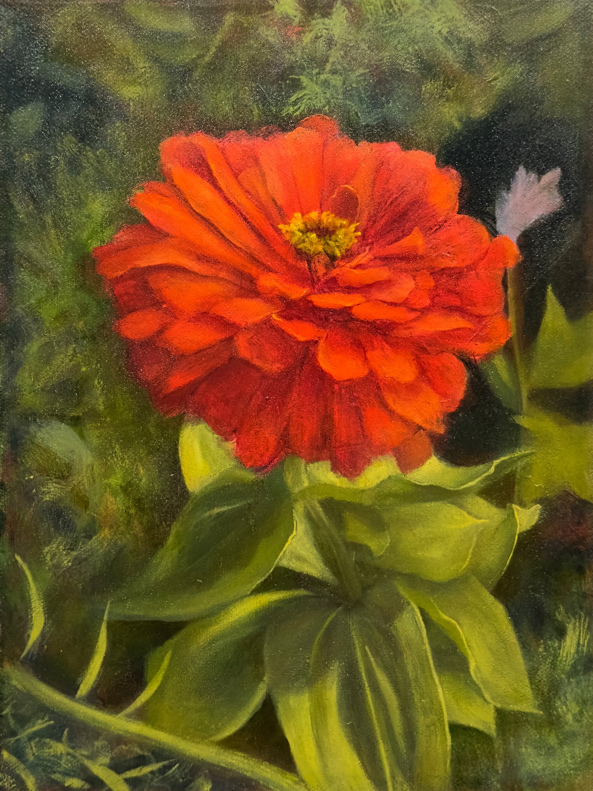 Zinnia (print) product image (1)