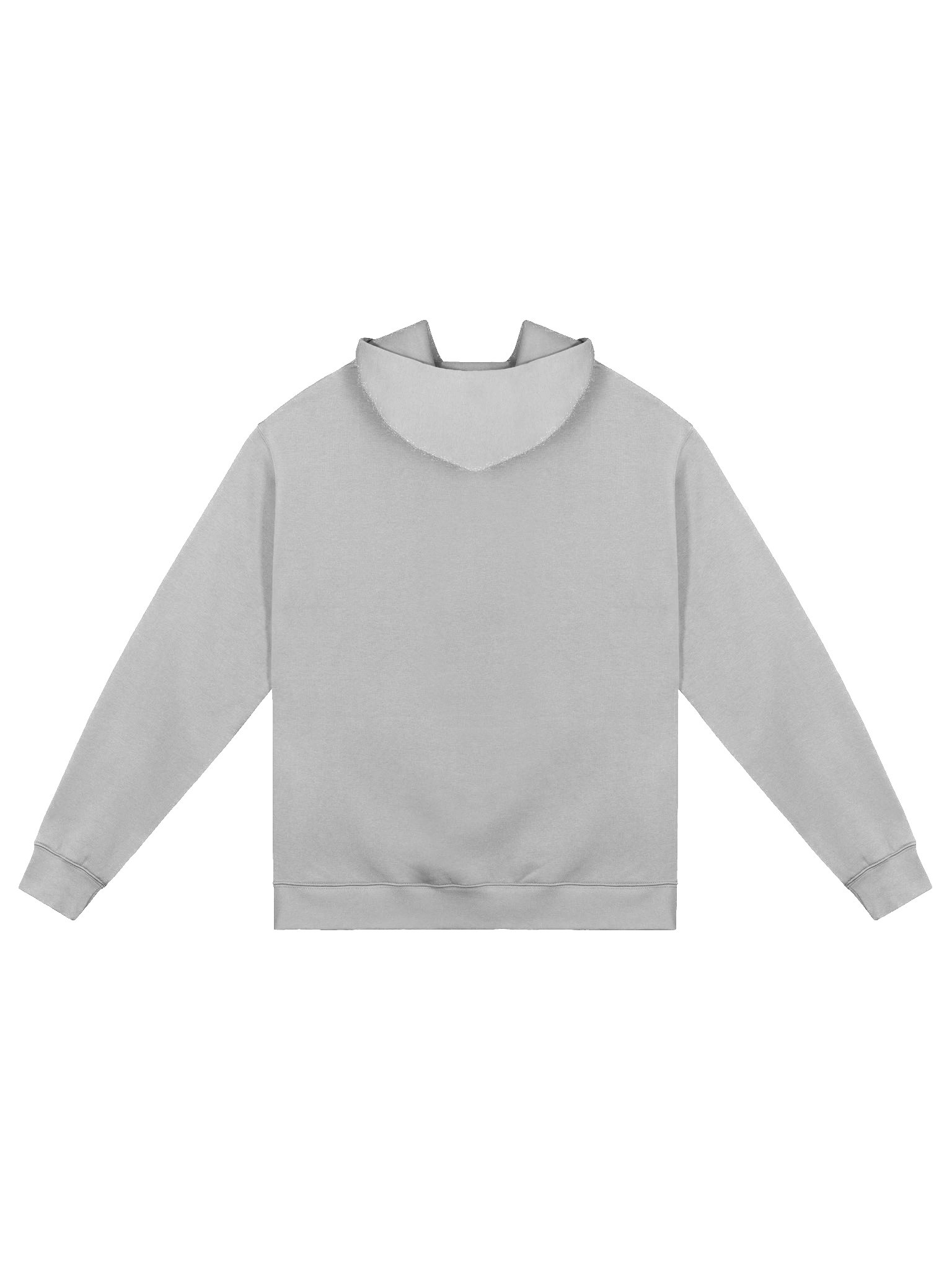 Fly-Inspired Premium Oversized Hoodie product image (7)