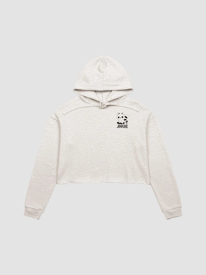 Bright Crop Top Hoodie product image (1)