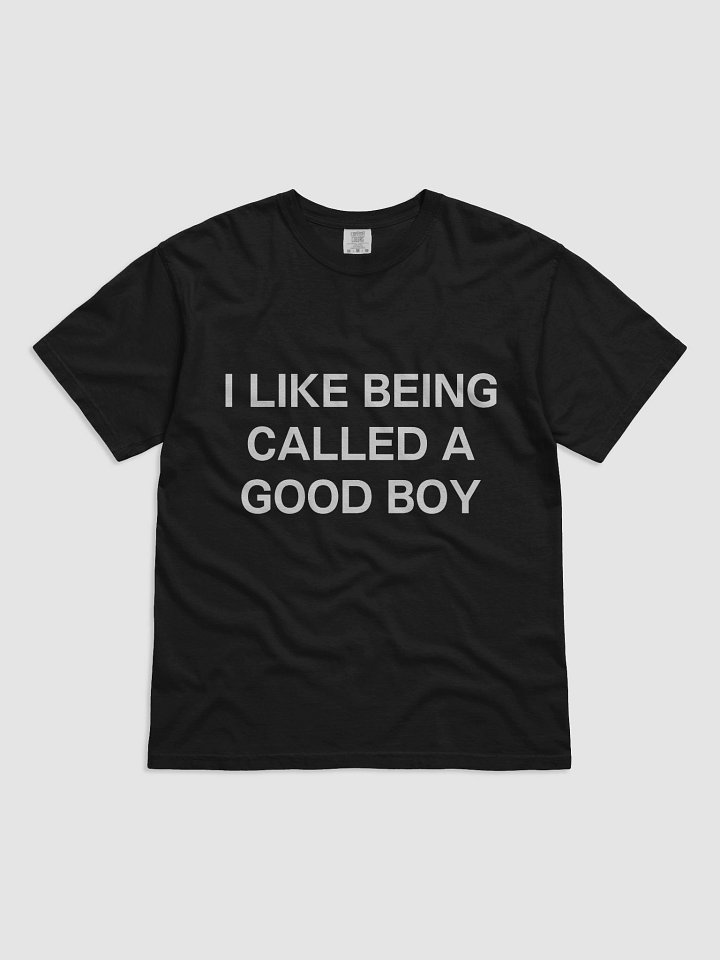 Good Boy Love Tee product image (1)