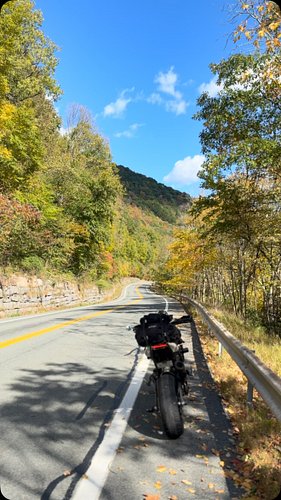 absolutely love this sound. fall is in full swing in the catskills #ducatimonster #motorcycles #bikelife #reels #fall