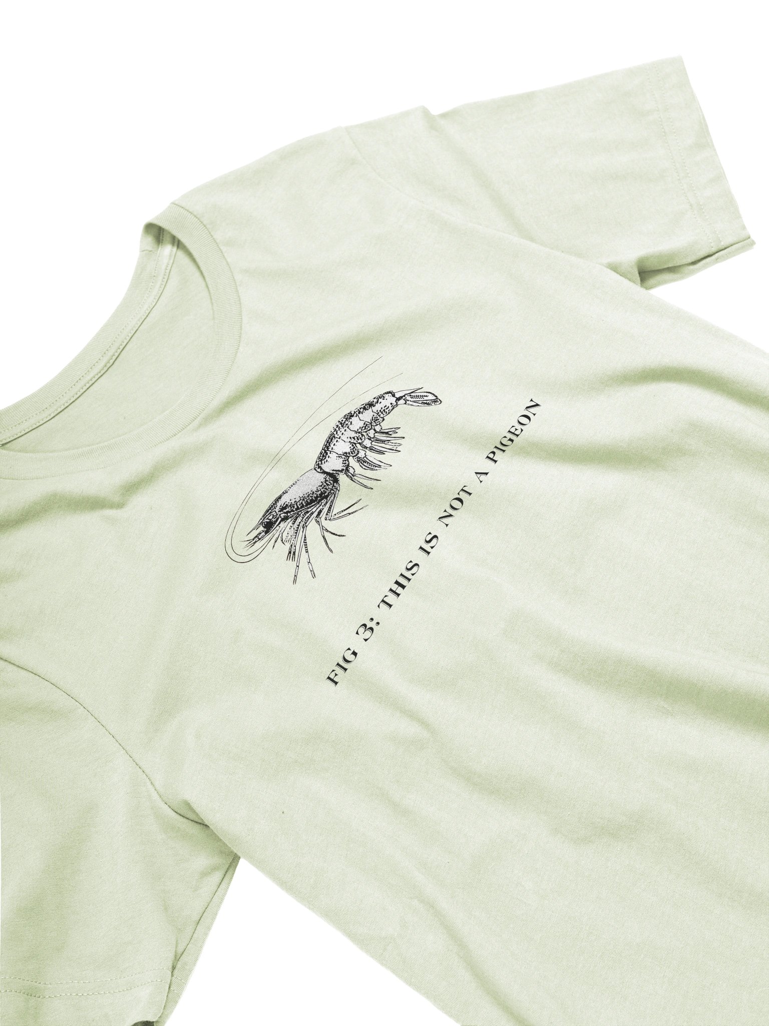 Not A Pigeon-PrawnEdition product image (25)
