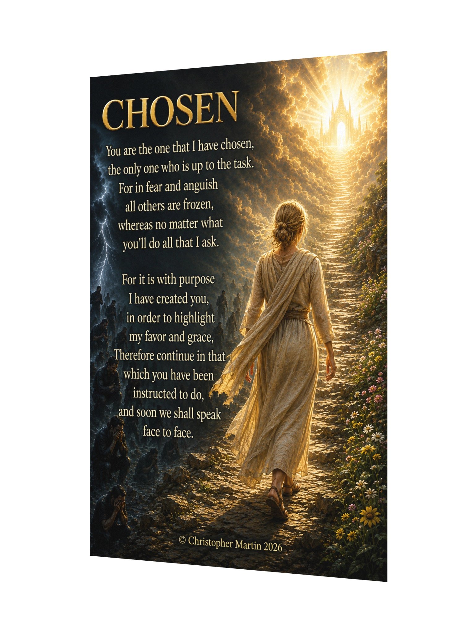 Chosen product image (3)