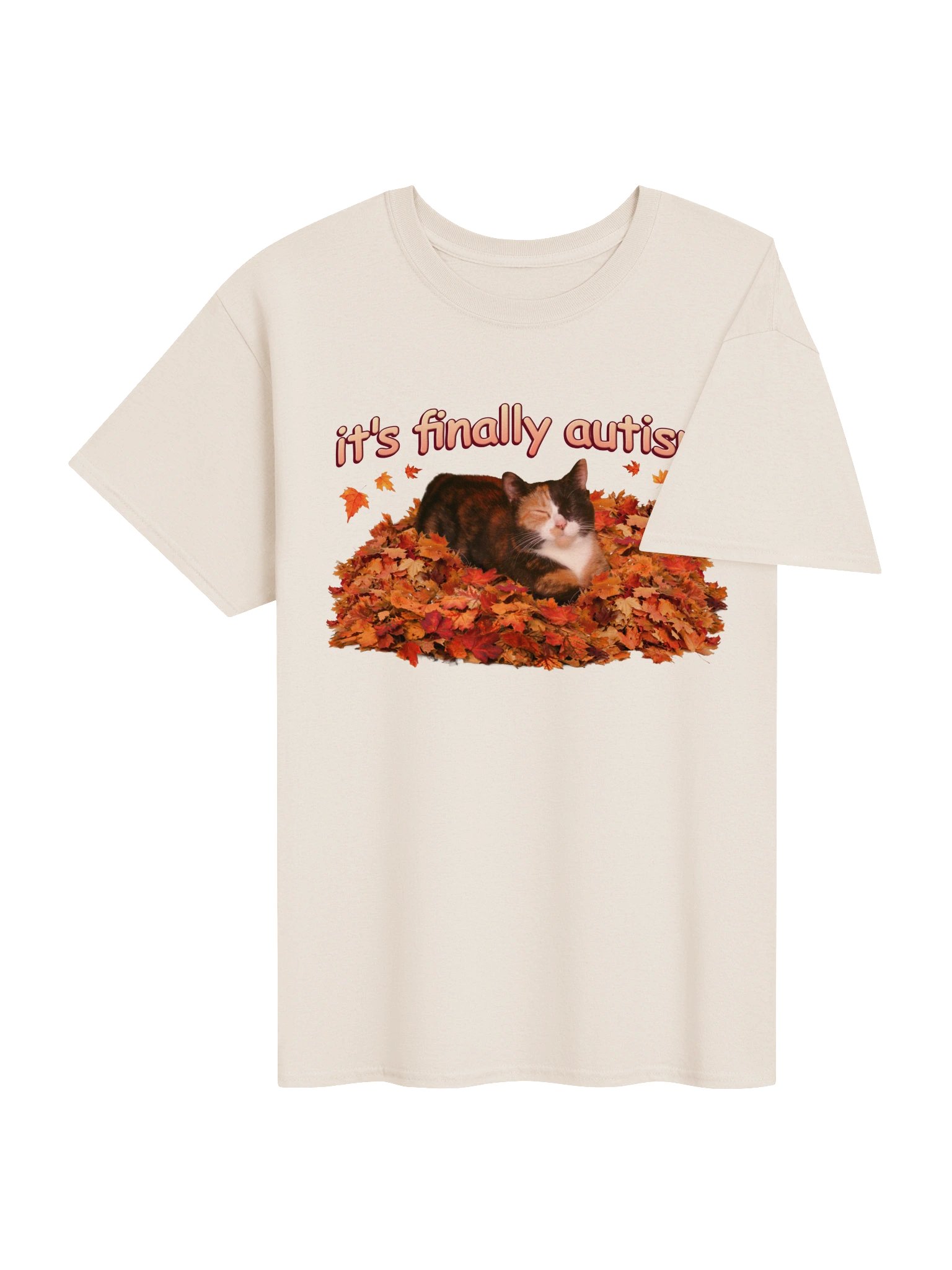 It's Finally Autism Autumn Cat T-shirt product image (4)