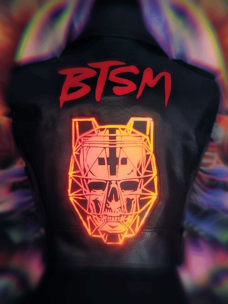 BTSM Vest product image (2)