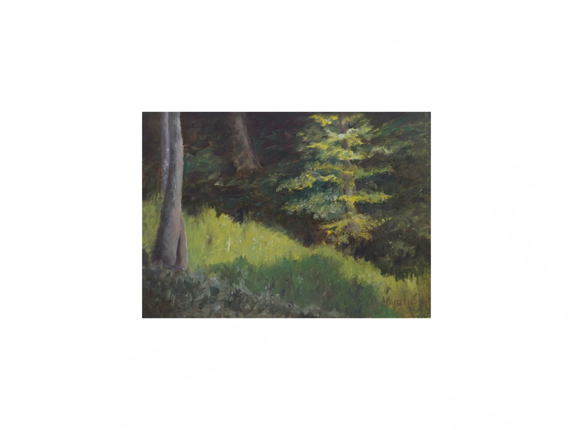 Glade Between Hills - Premium Matte Paper Print product image (1)