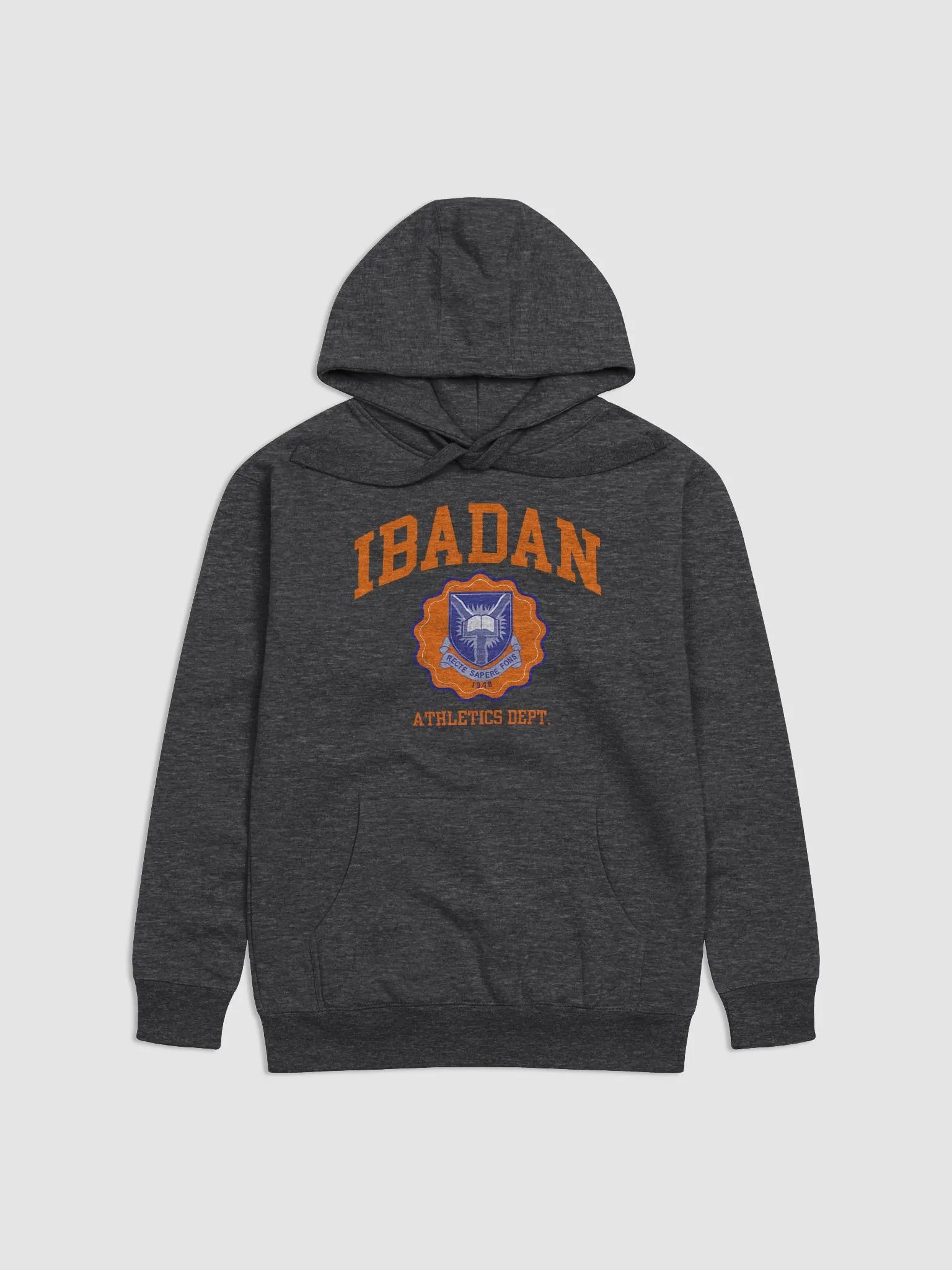 IBADAN Athletics Department Premium Hoodie product image (2)