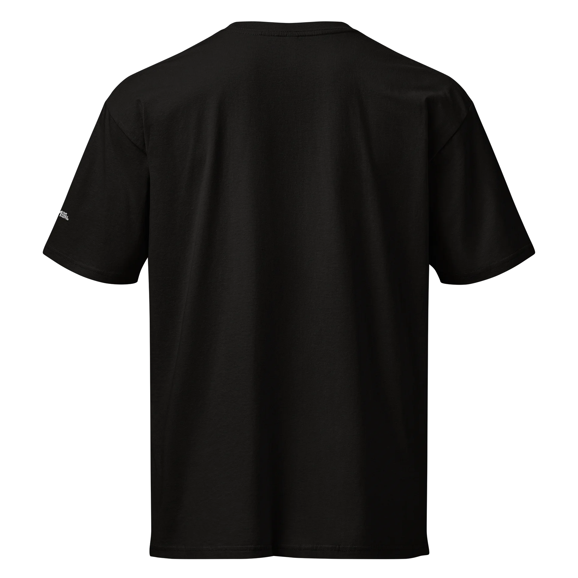 STUDENT (Embroidered Graphic Tee) product image (7)