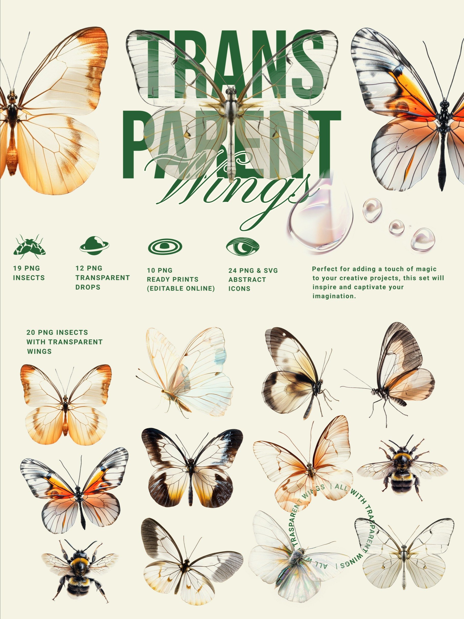 Transparent Wings Contemporary Art product image (1)