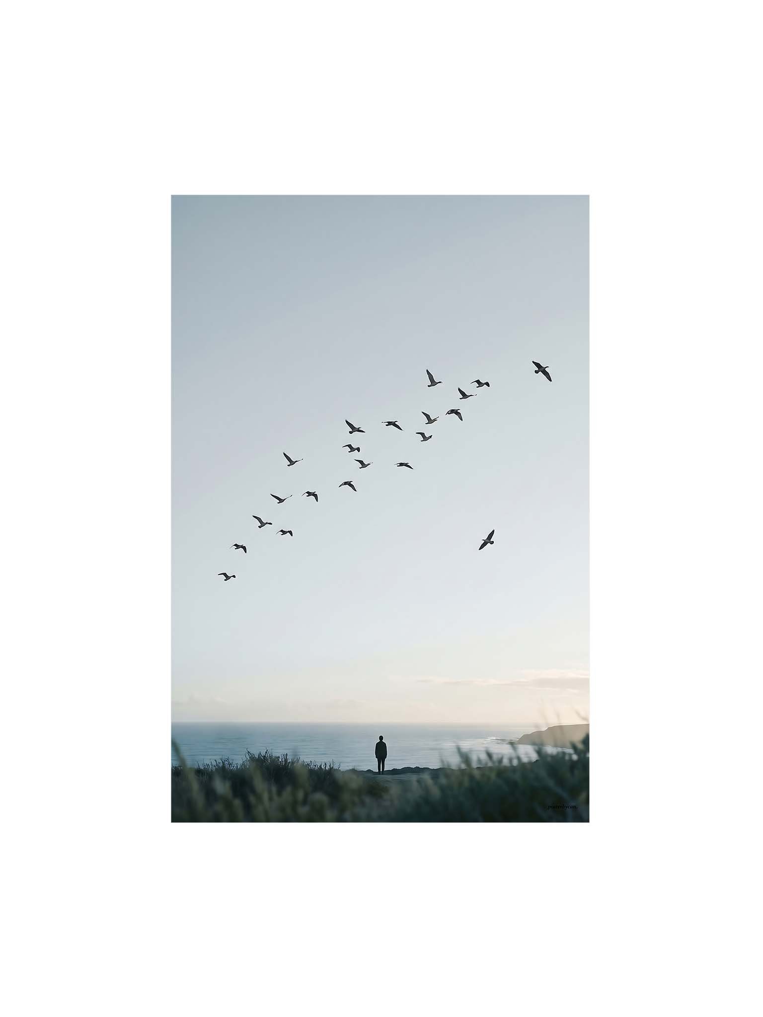 Birds Know The Way - Coastal Minimalist Wall Art product image (1)