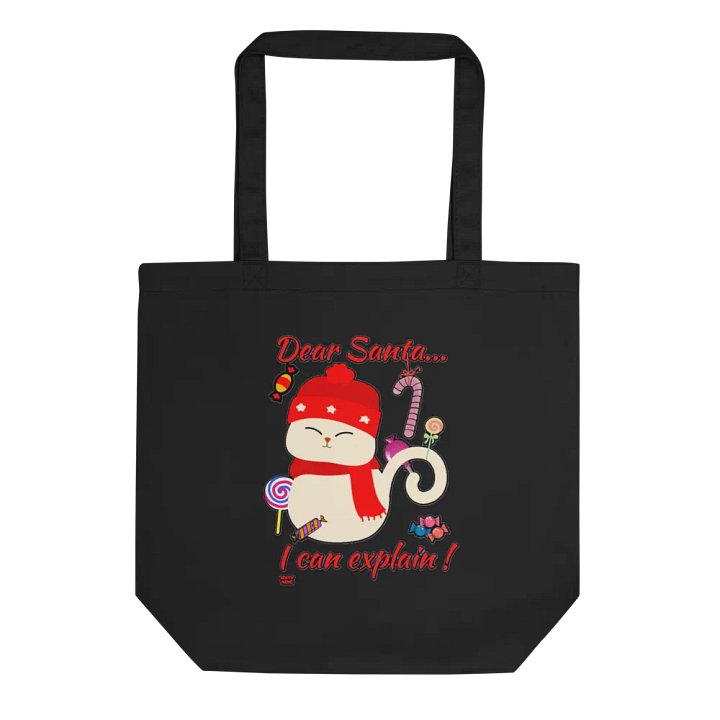 DEAR SANTA, I CAN EXPLAIN! product image (1)