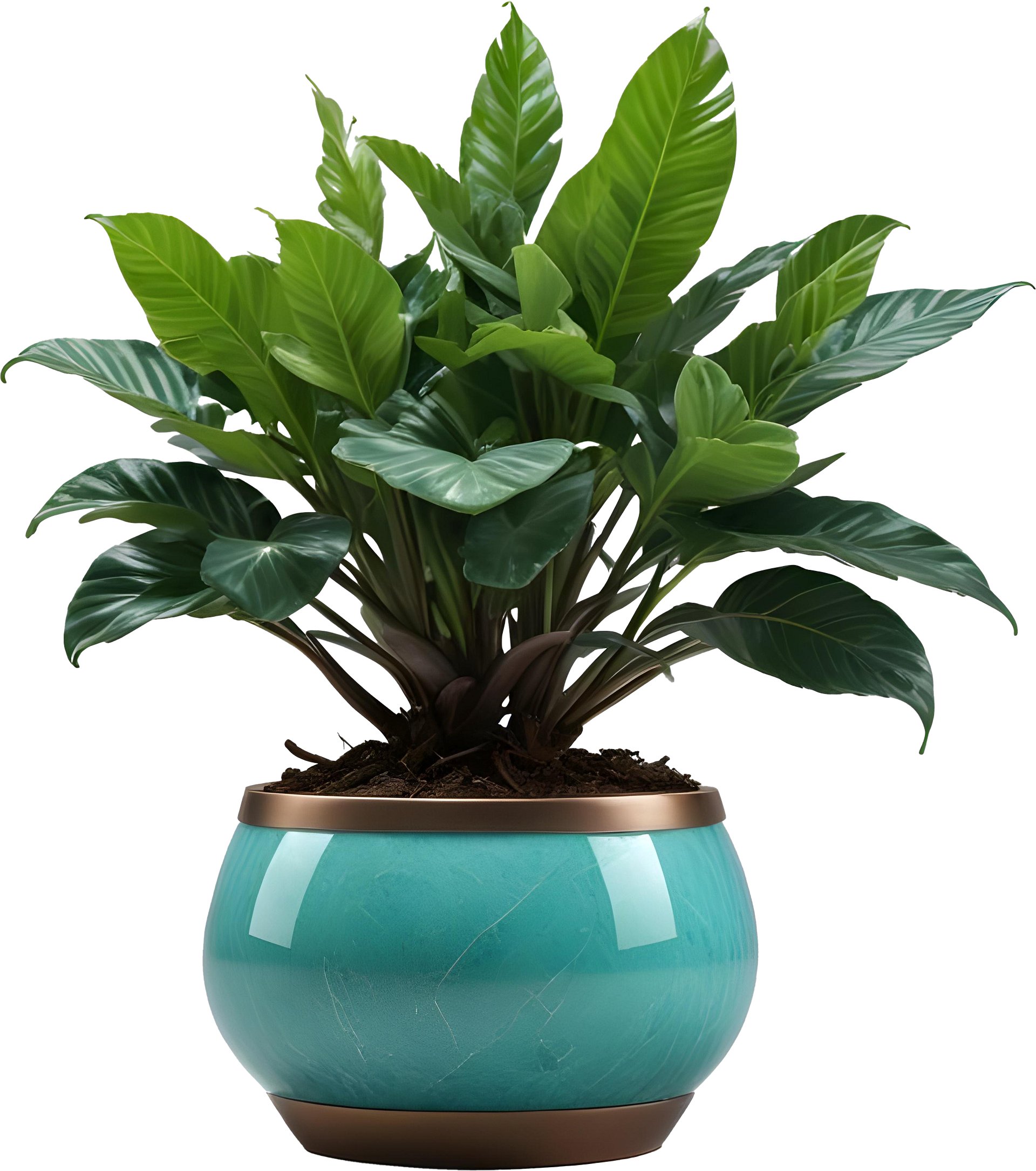 Jade Signature – Round Jade Planter PNG product image (1)