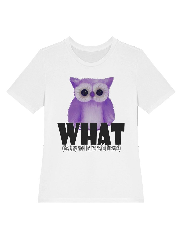 Owl "WHAT" T-Shirt. Women's Bella+Canvas Supersoft Relaxed-fit T-Shirt product image (2)