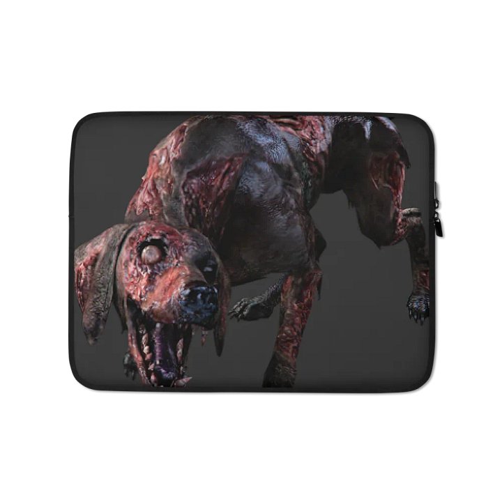 Laptop case 