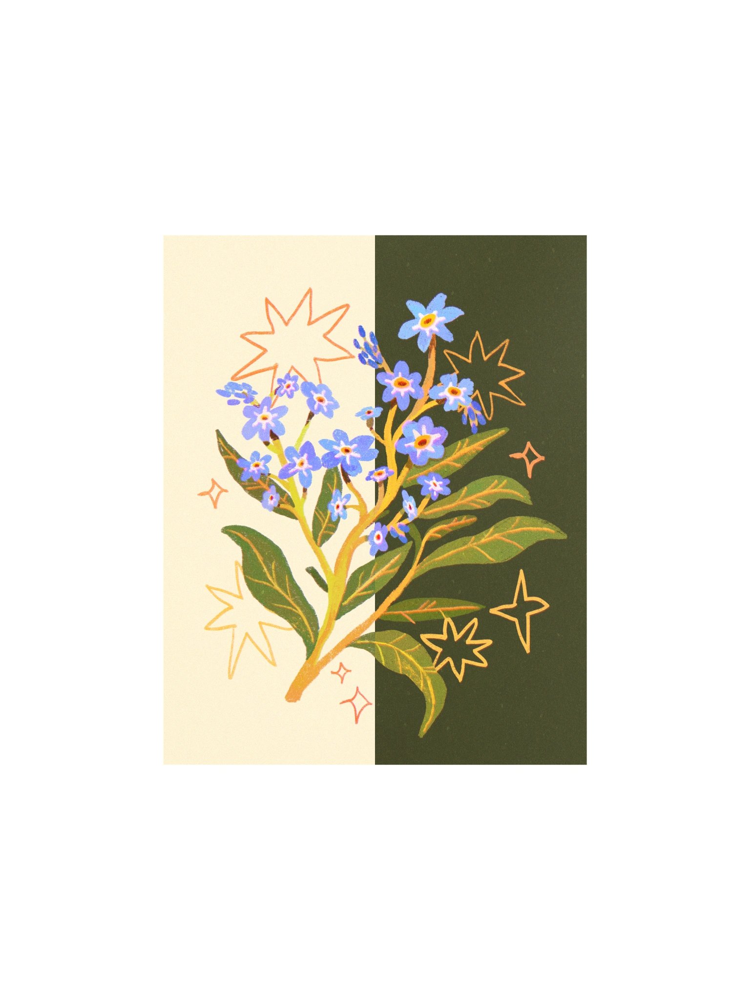 Day to Night Forget-me-not - Print product image (2)