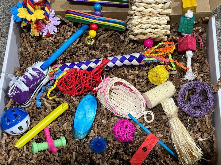 Little Beaks Toy Box product image (2)