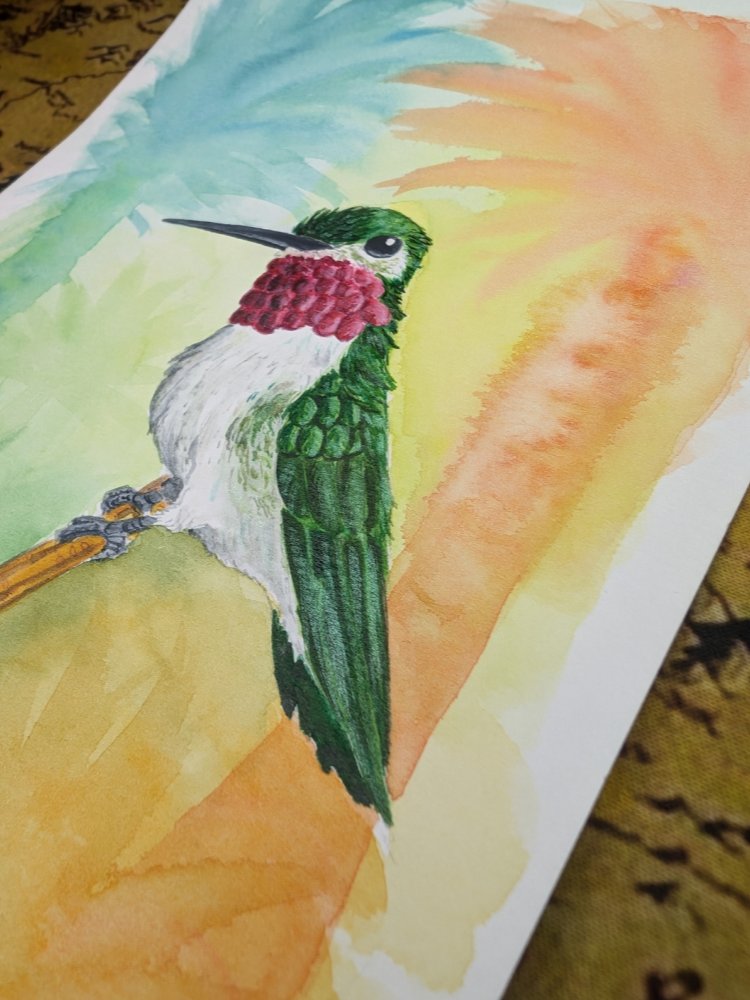 Hummingbird product image (2)