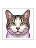 Tigger Stickers ❤️🕊️