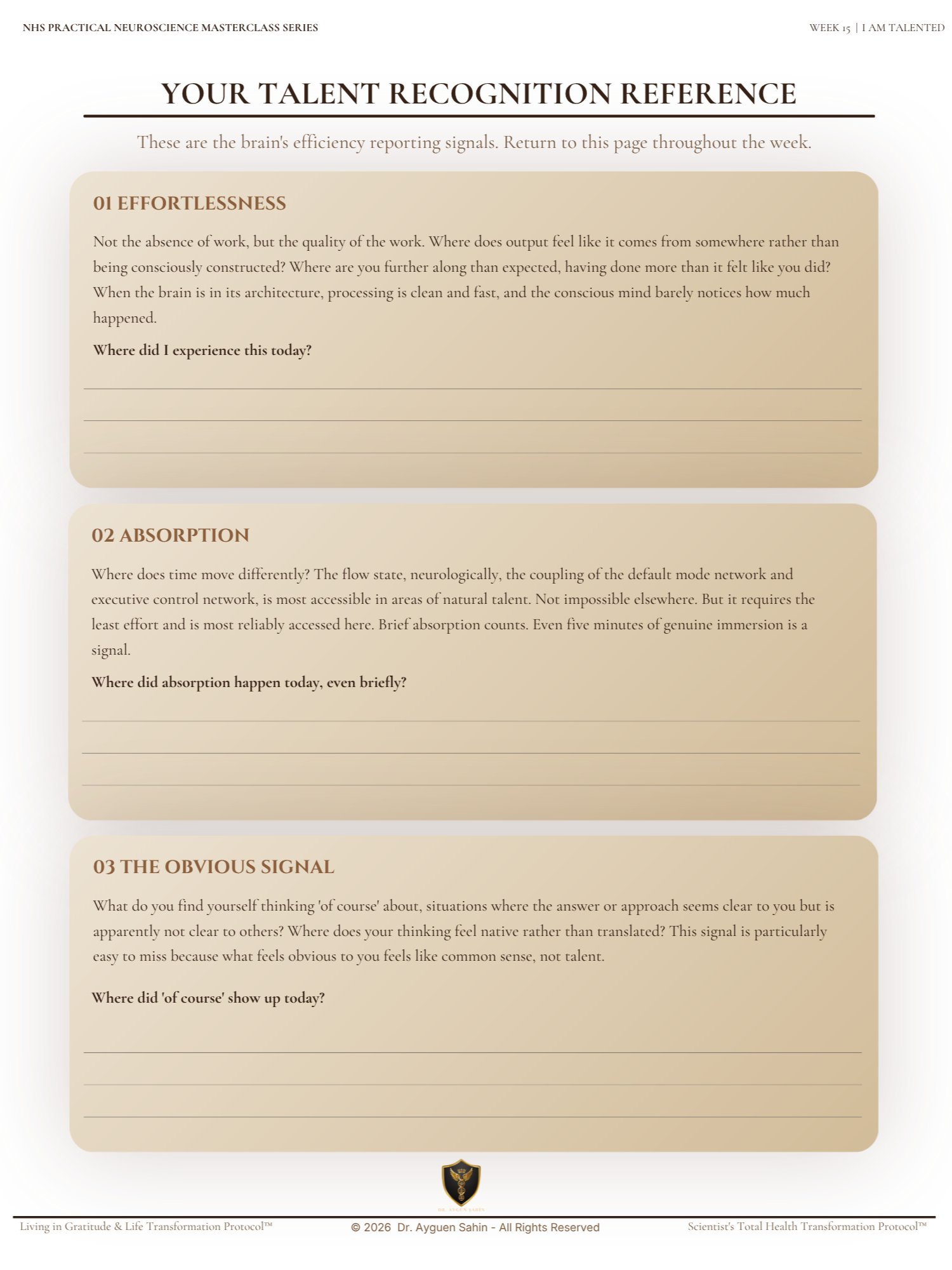 TALENT RECOGNITION AUDIT product image (3)