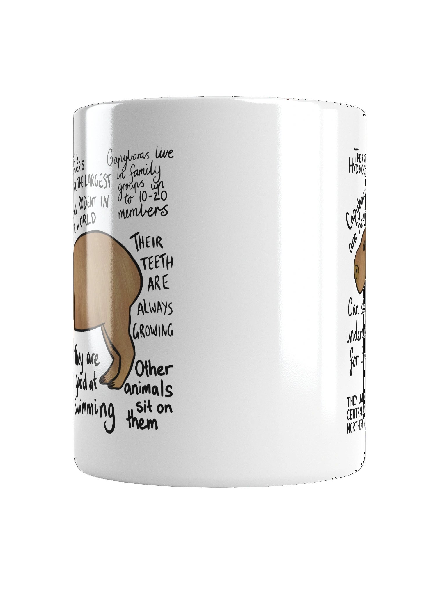 Capybara Facts Mug product image (18)