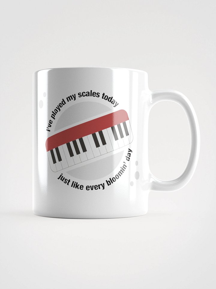 I’ve Played My Scales Today product image (3)