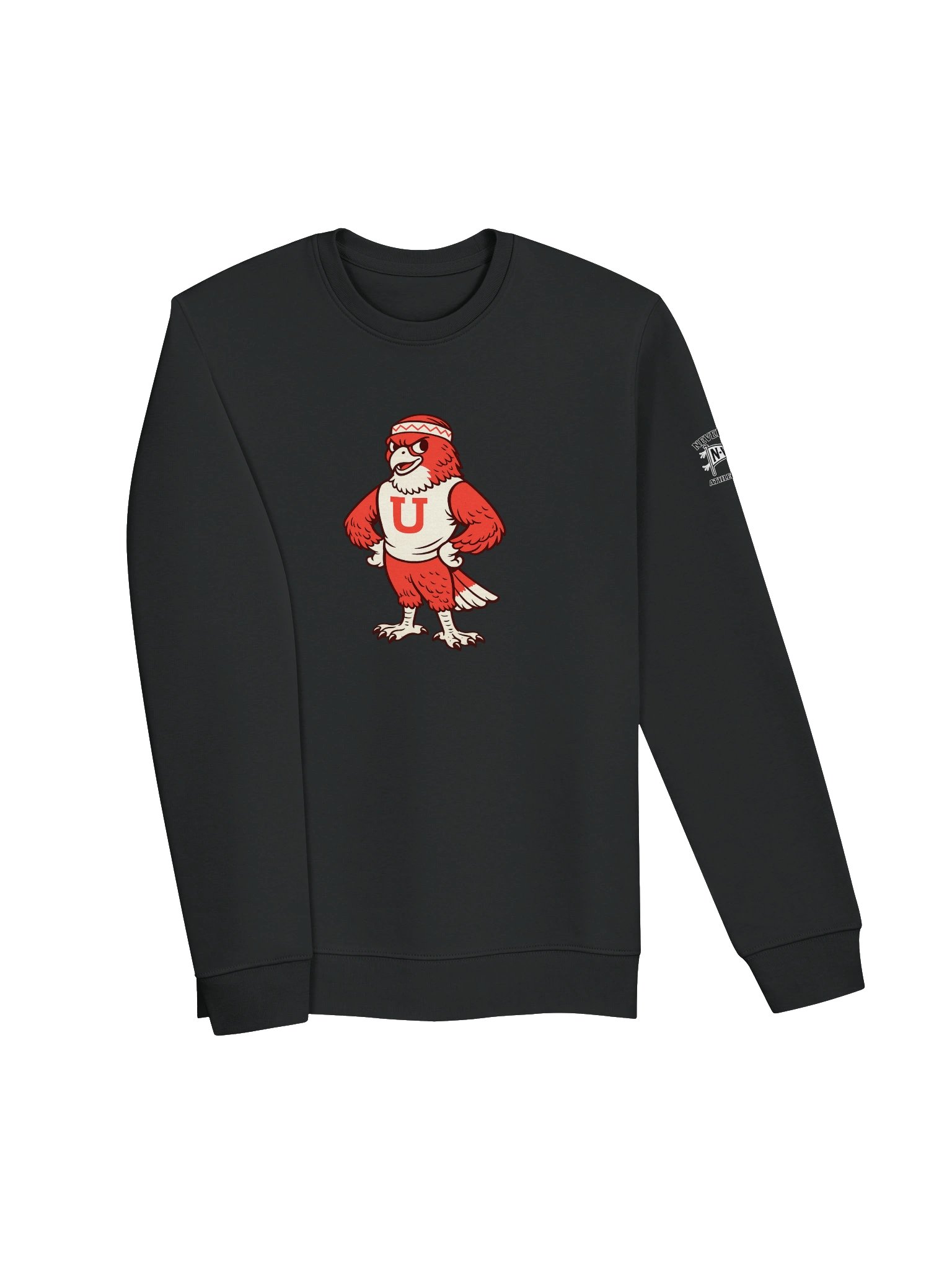 Vintage Red-Tailed Hawk Collegiate Crew product image (3)