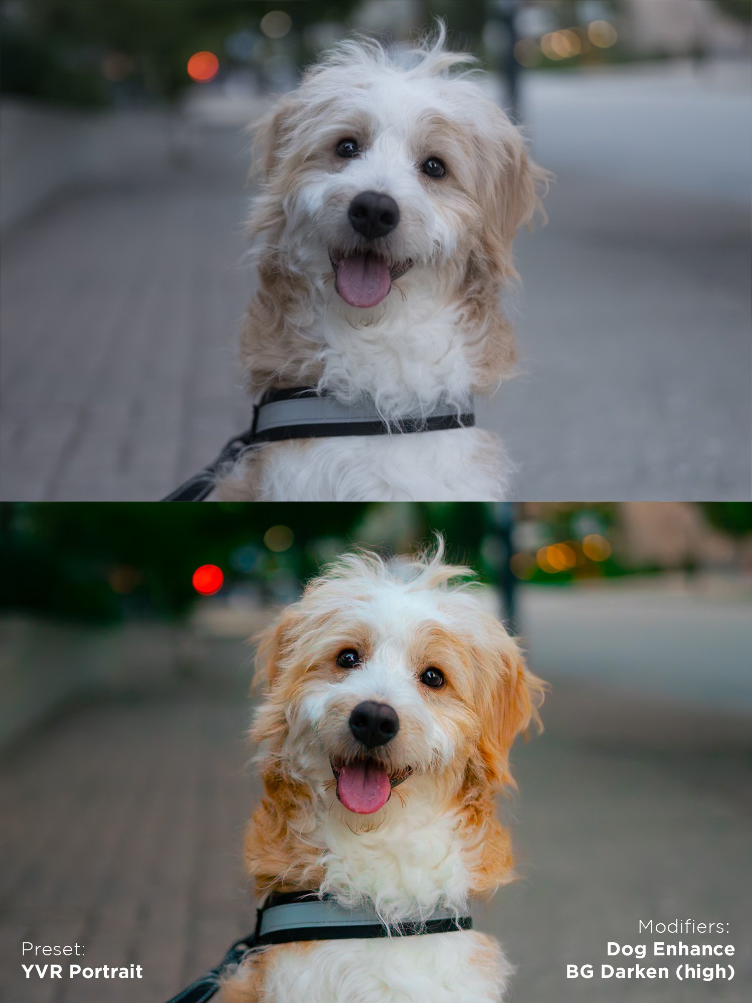 Ultimate Preset Bundle product image (11)