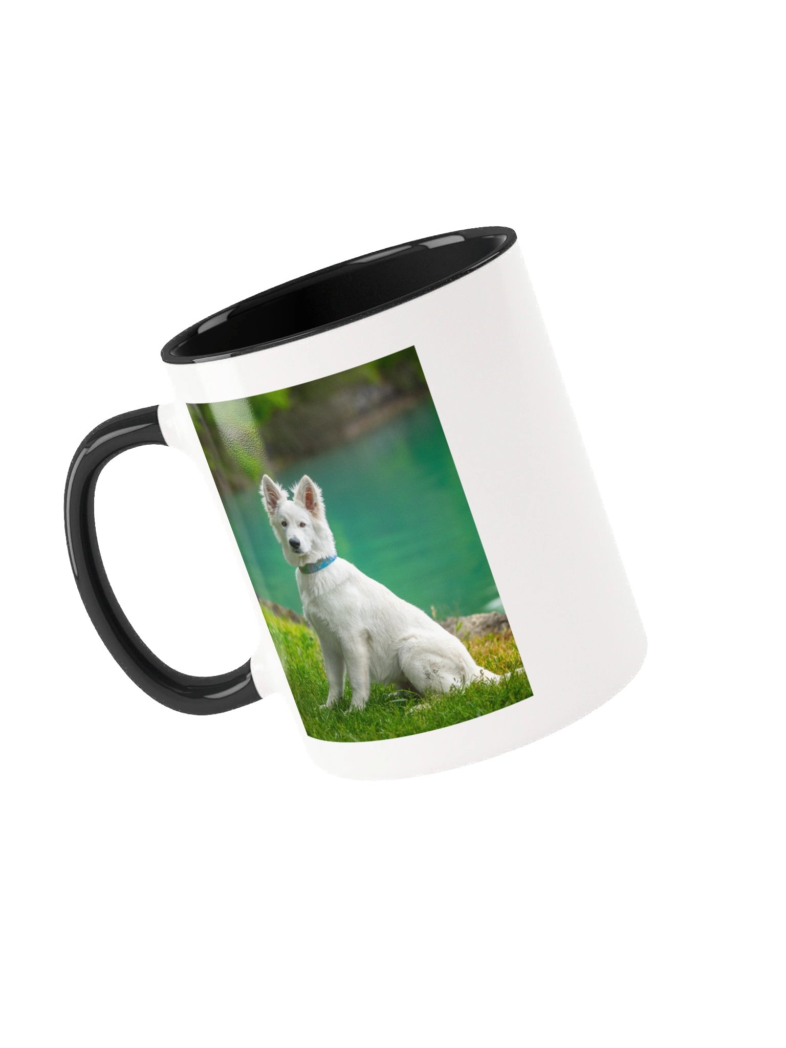 Lil Rasta at Lake Brienz product image (6)