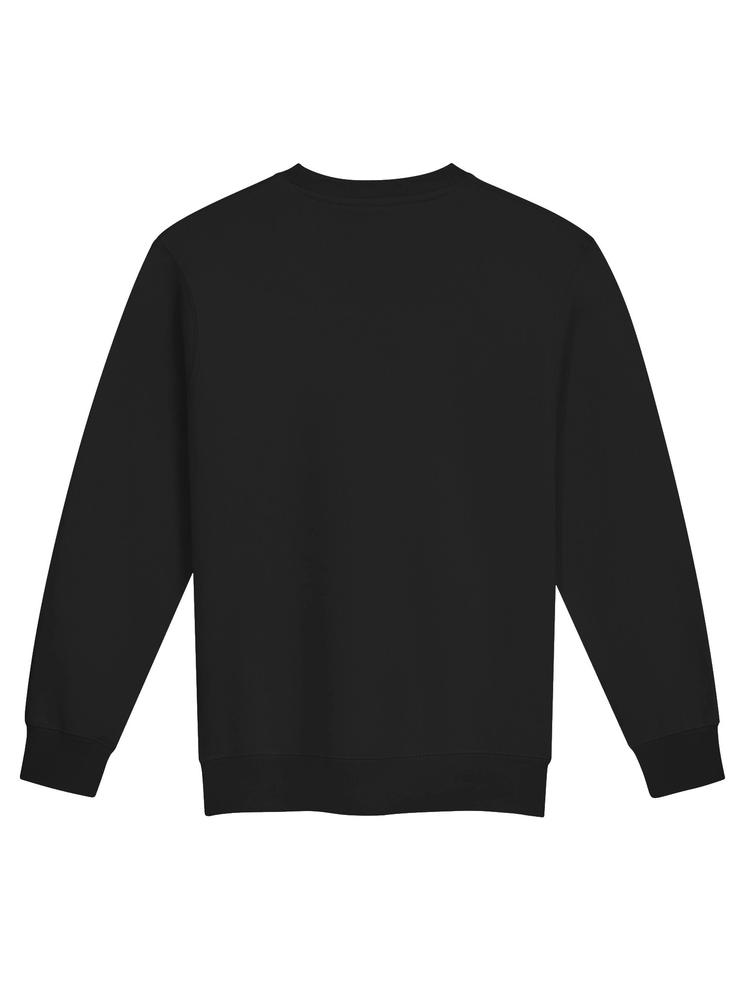 Astrowell (Prototype, 2002) - Sweatshirt (Black, Regular Fit) product image (2)
