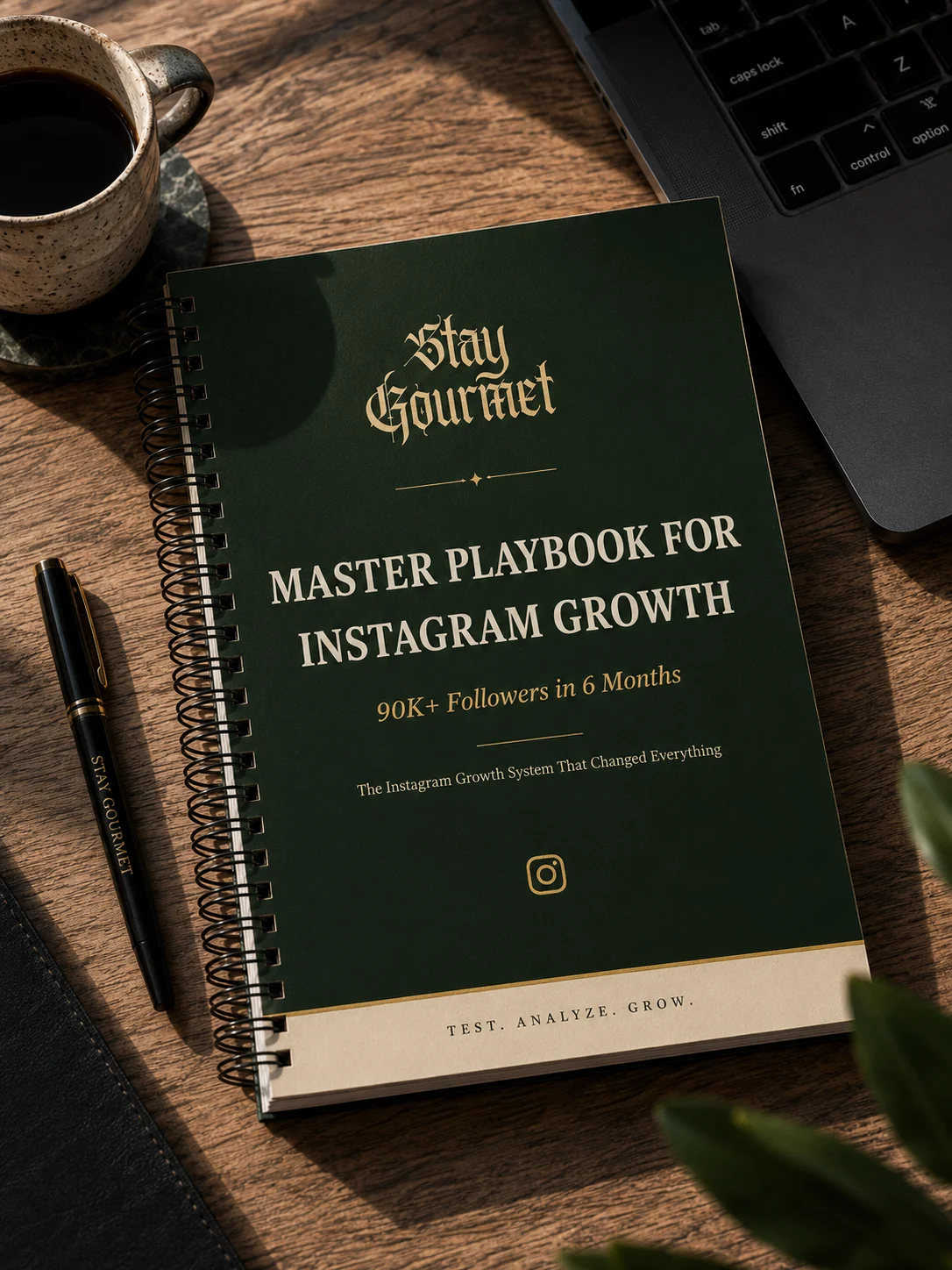 Instagram Playbook to 90K+ Followers in 6 Months product image (1)