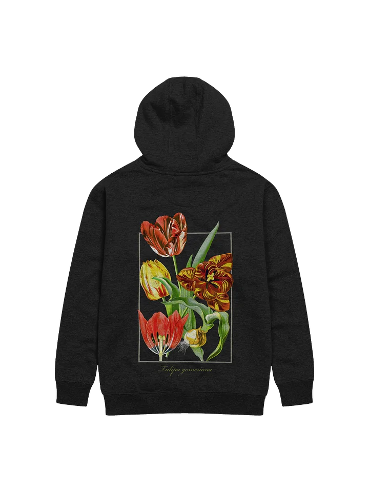 Garden Tulip (Tulip gesneriana) - Adult Unisex Hoodie product image (1)