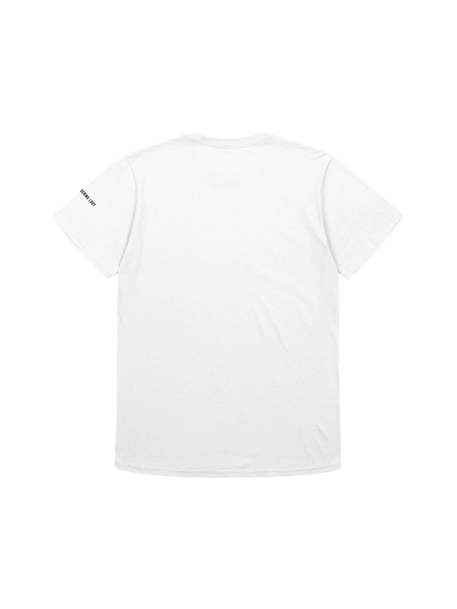 Silver Hair, Don’t Care Rig Tour Women's Comfort Tee product image (8)