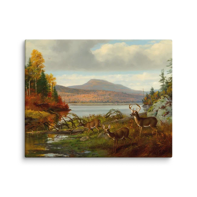 Deer Art Prints