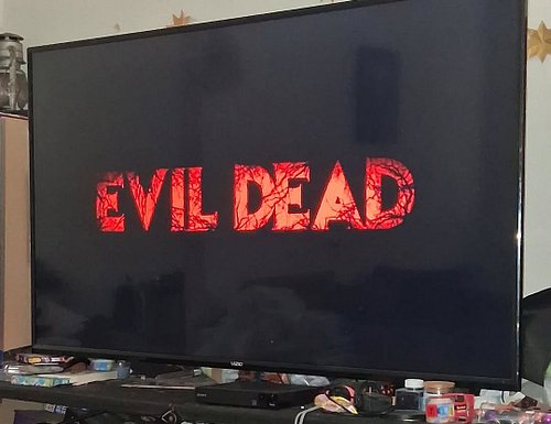 Good morning everyone. Wife is thrifting with her mom today so I'm at home watching Evil Dead 2013 on blu ray