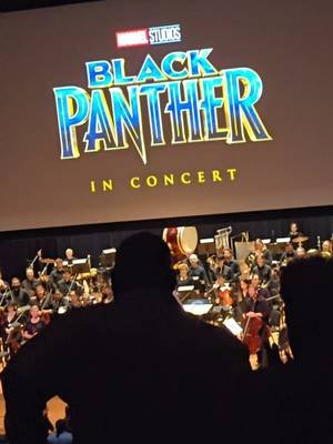 When you marry a Blerd, your weekend plans include an orchestral journey to Wakanda! 🎻🐈‍⬛​#BlerdLife ​#BlackPantherInConcert ​#CharlotteSymphony ​#BelkTheater ​#CharlotteNC @Blumenthal Arts @Amtrak 