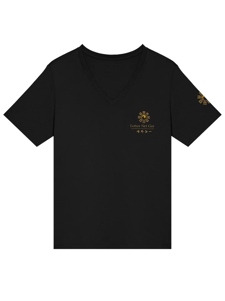 Ladies V Neck Tee product image (2)